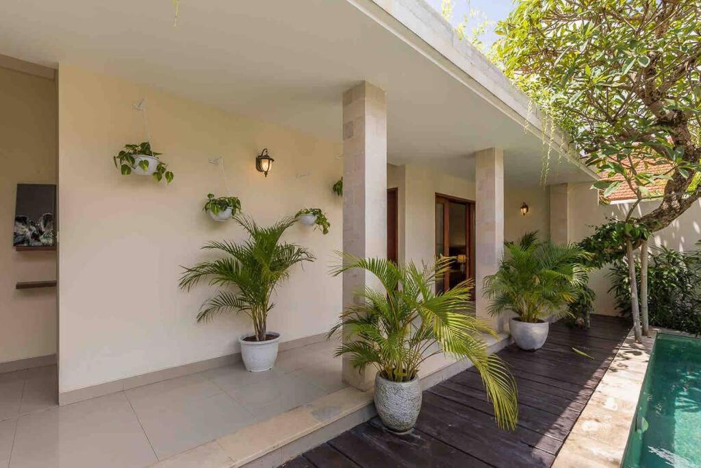 Hotel Location! Berawa beach 3bdr Spacious pool villa! - Image 1