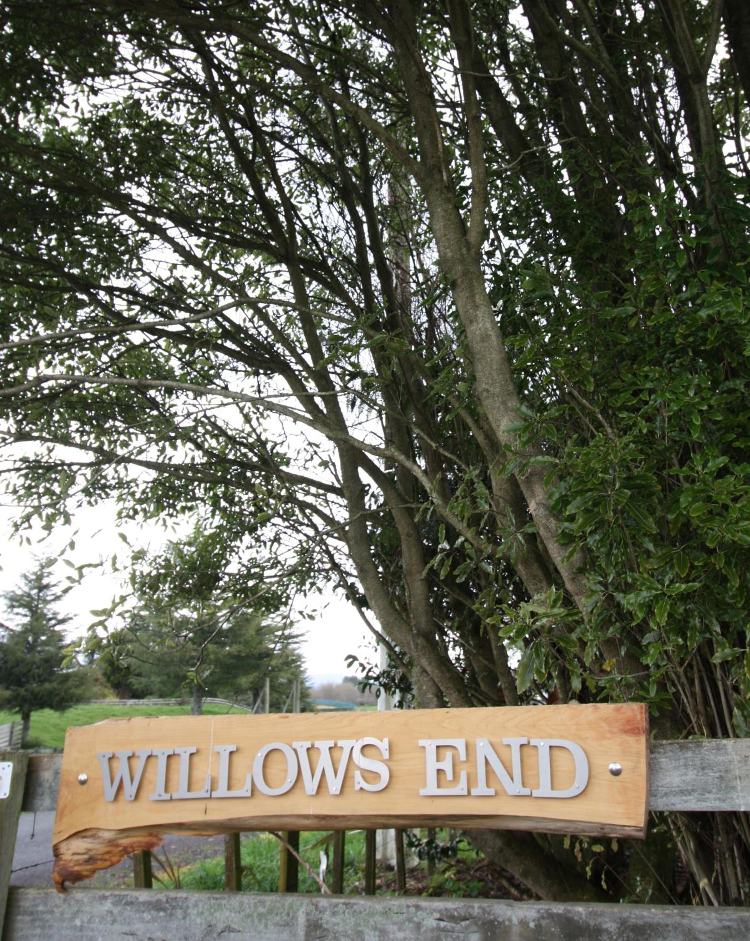 Willow's End