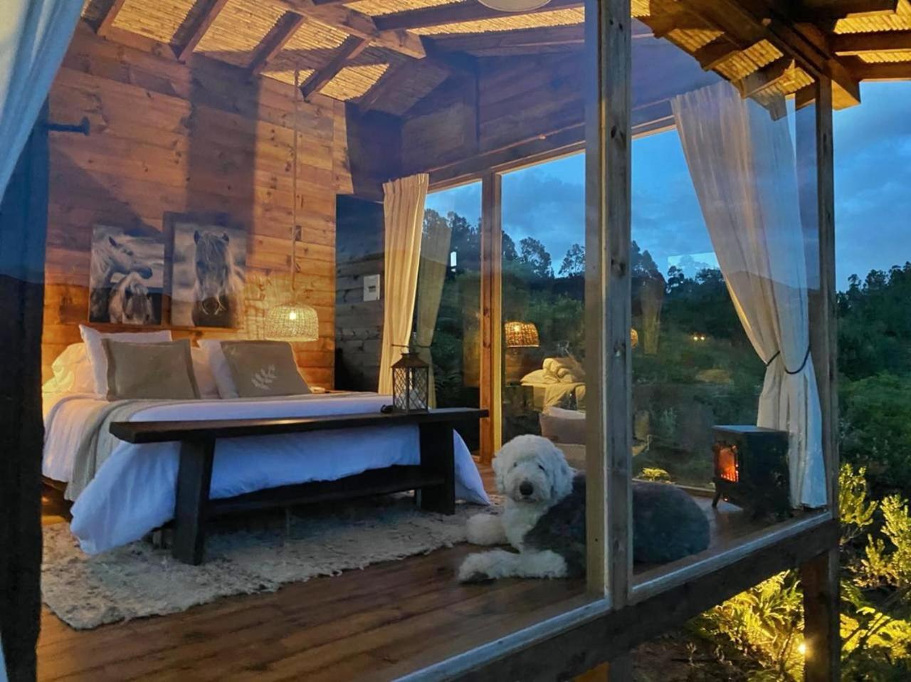Farallones Eco Glamping