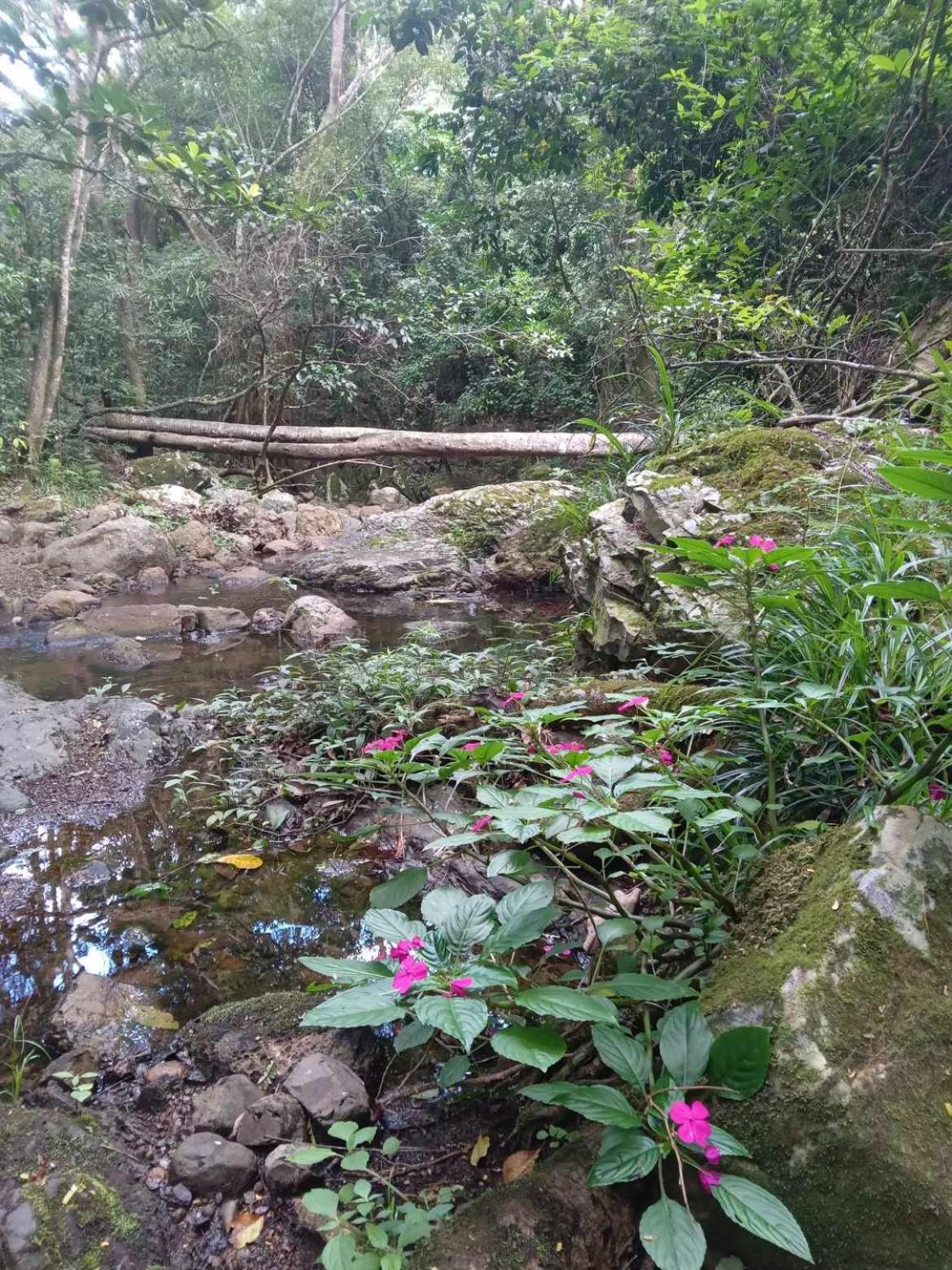 La pirogue enchantée maison karukera