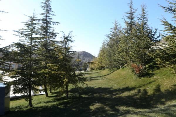 Photo 51
