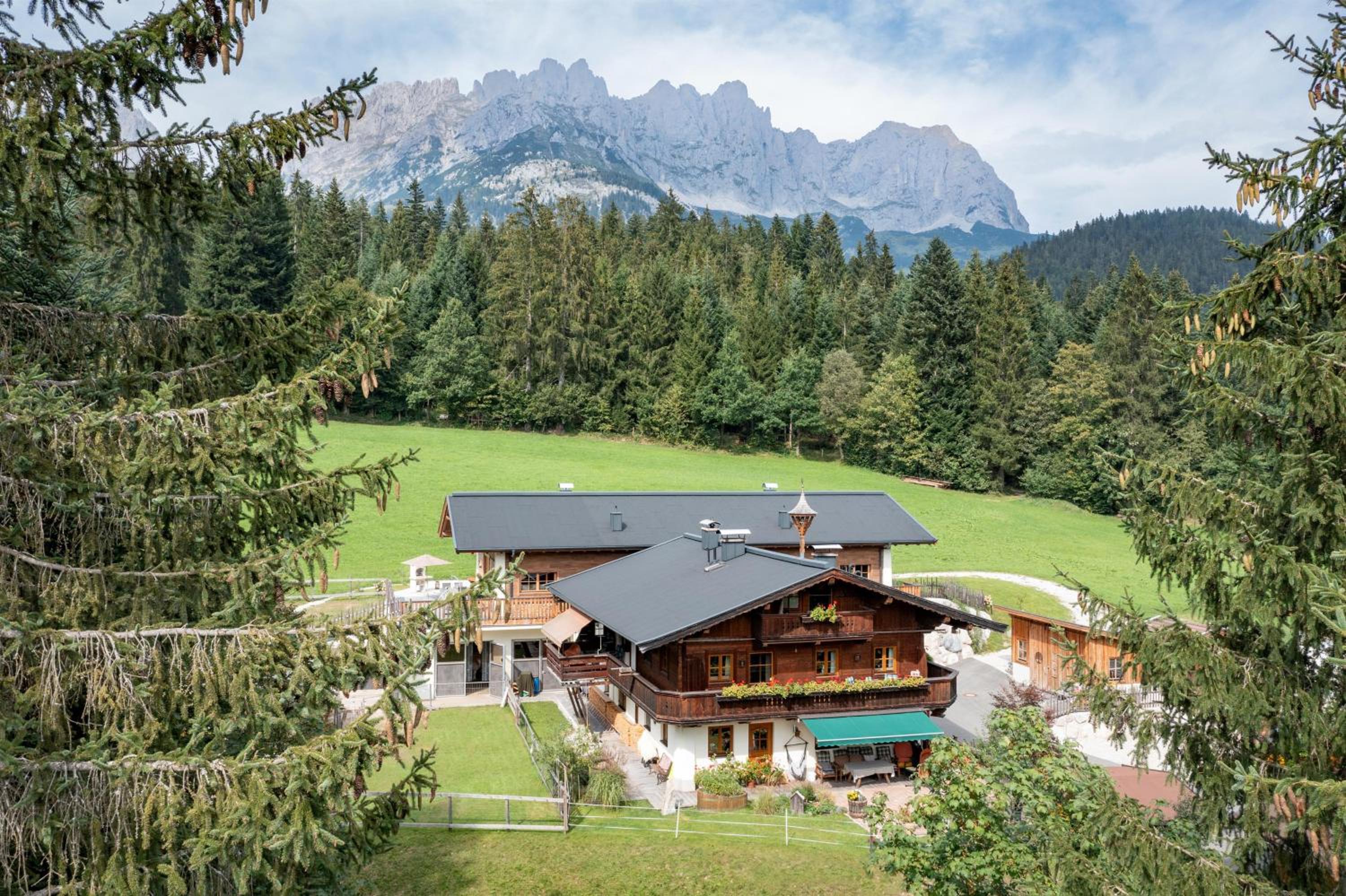 Almchalet Weberhof view 2