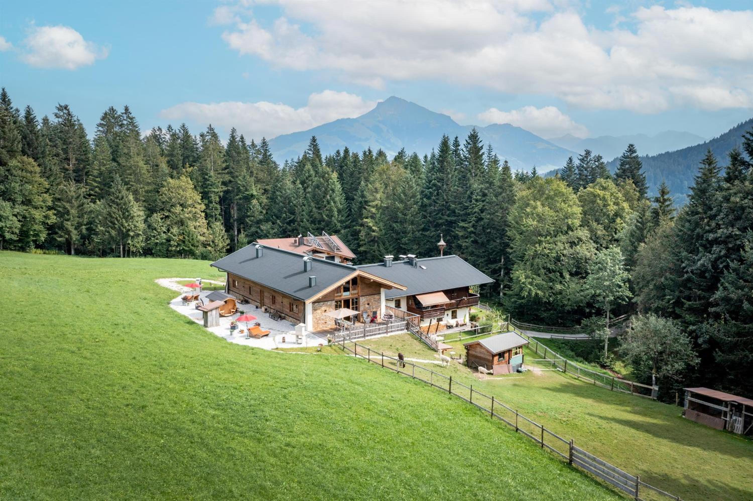 Almchalet Weberhof view 3