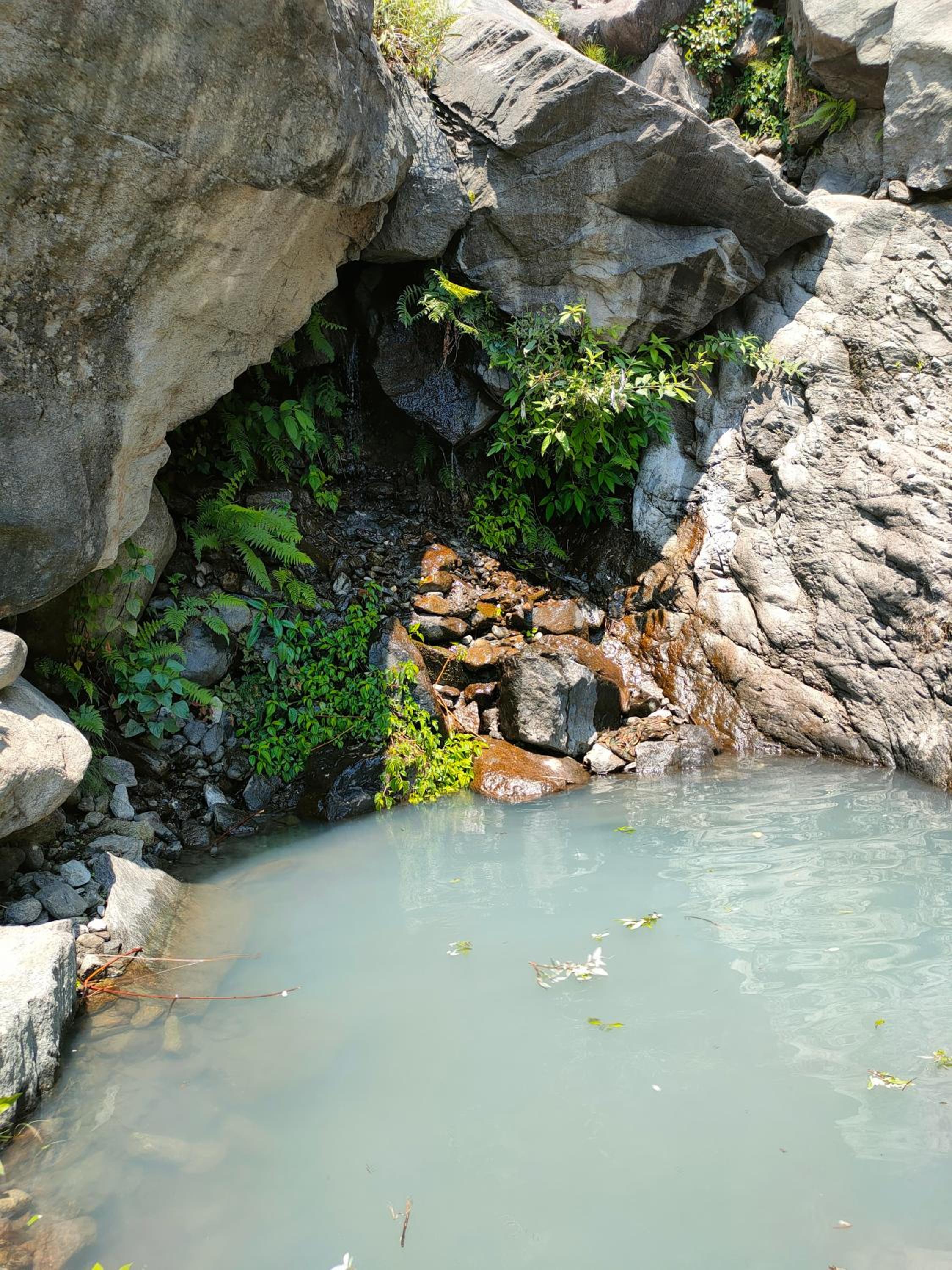 Photo 10