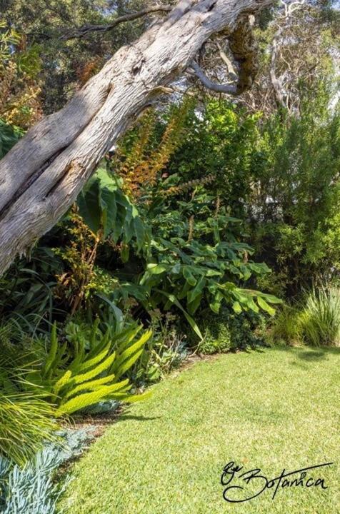 Rye Botanica-Swim Spa renovated amazing garden