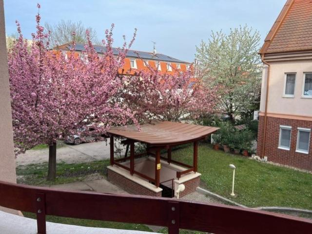 Kolibri Apartman, Hajdúszoboszló view 2