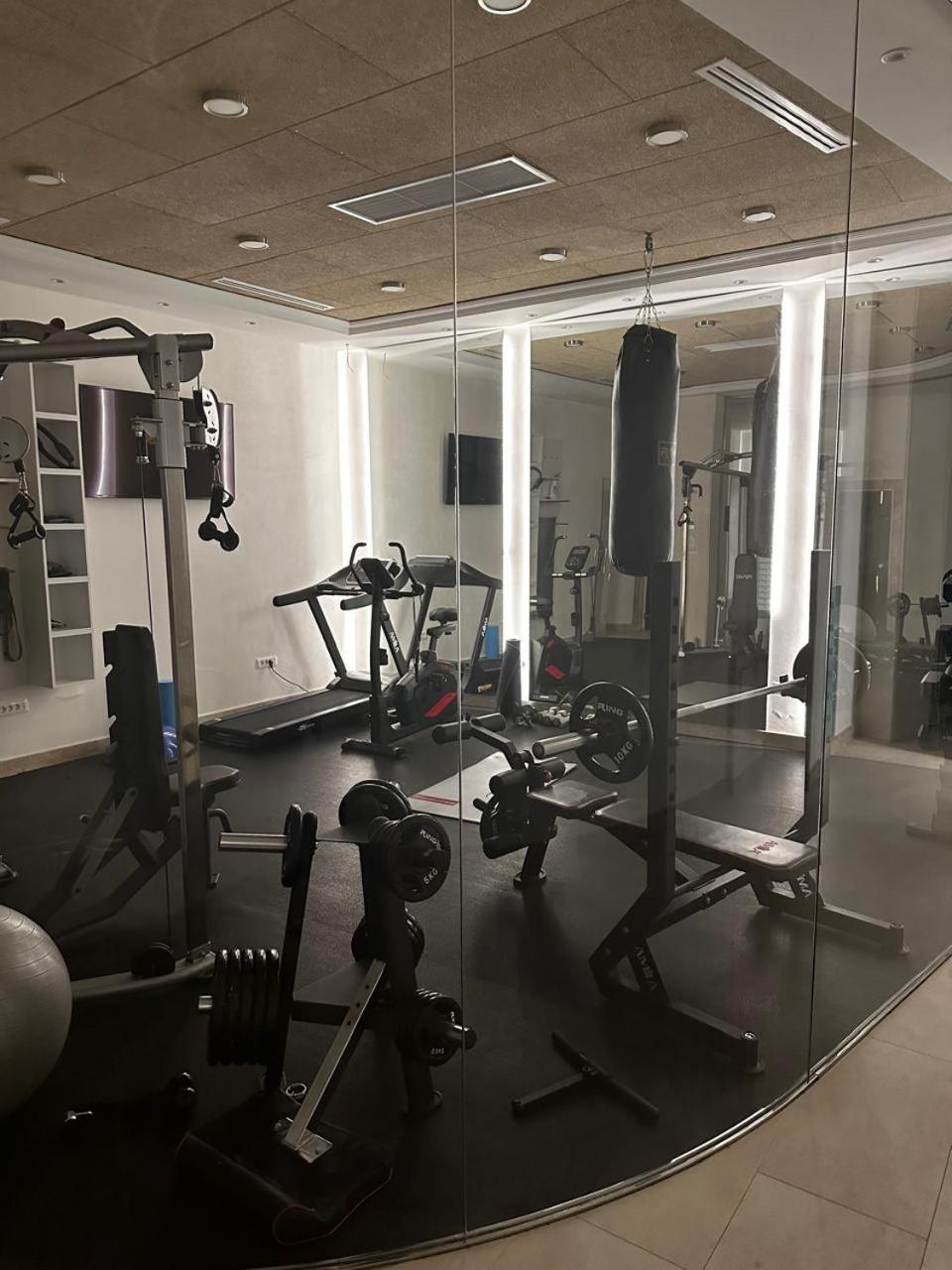 Unique Premium Penthouse with Spa and Garage in Dedinje