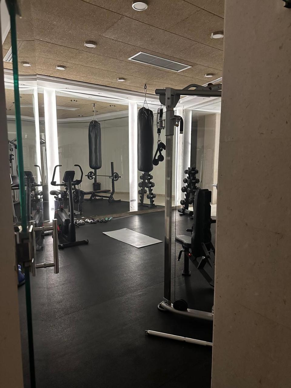 Unique Premium Penthouse with Spa and Garage in Dedinje