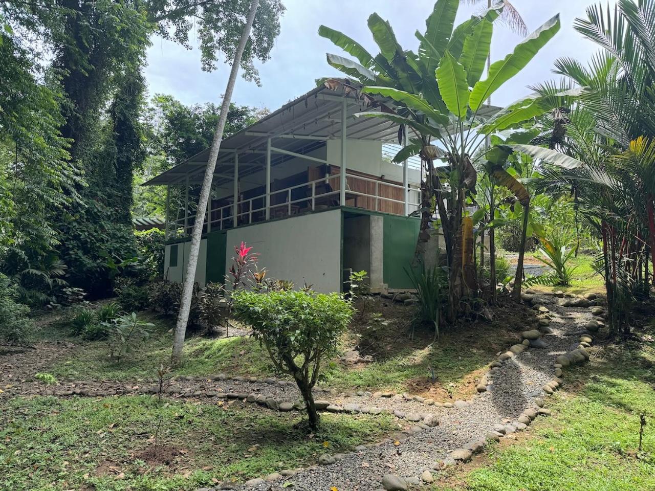 Casa Luminosa jungle villa