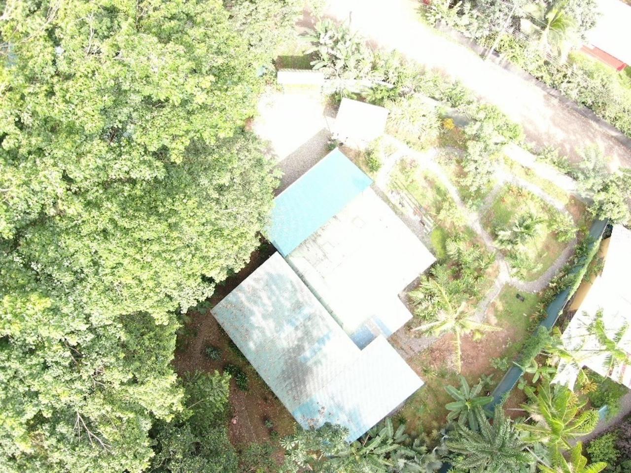 Casa Luminosa jungle villa