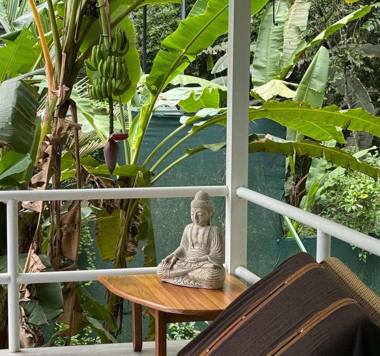 Casa Luminosa jungle villa