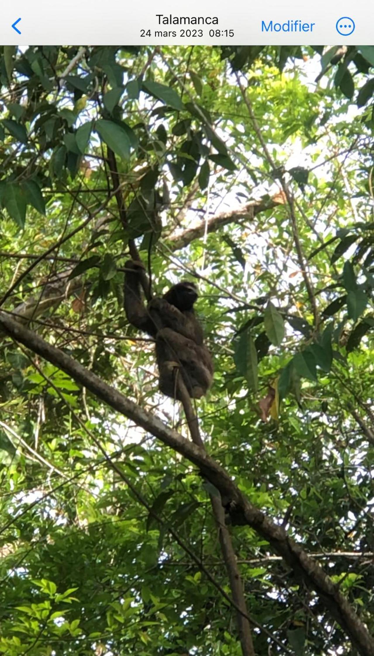 Casa Luminosa jungle villa