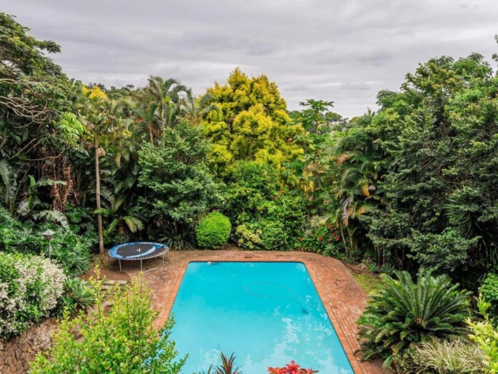The Tropical Hut Lodges Westville view 3