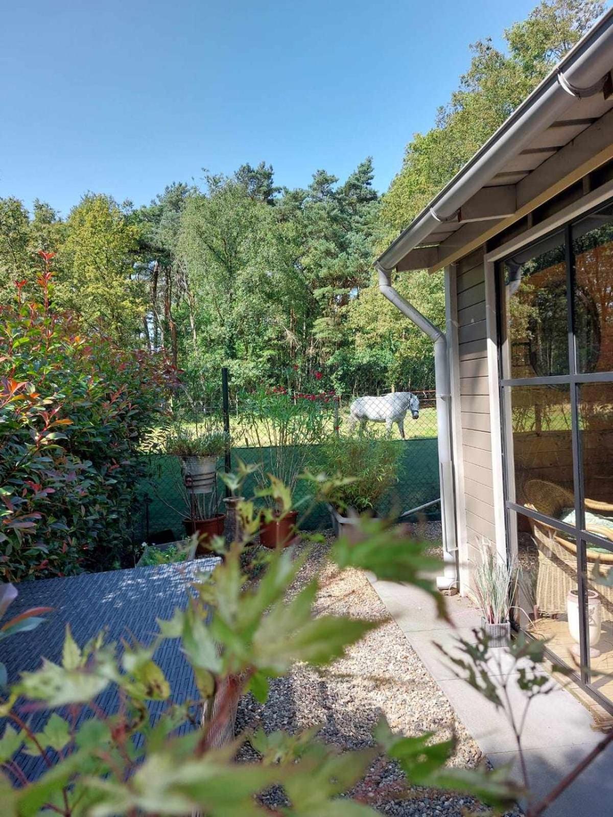 Chalet Bijou