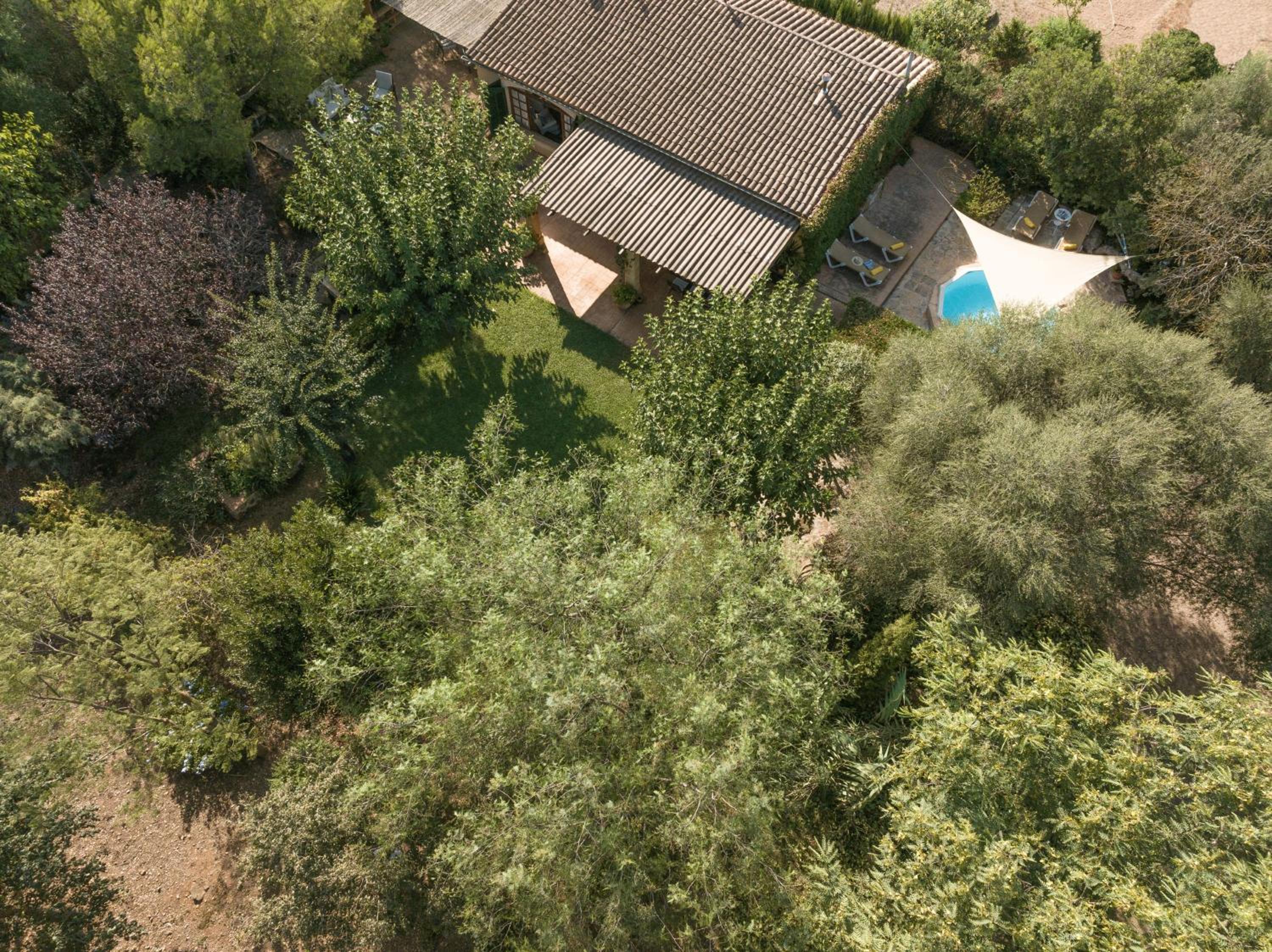 Sa Marjal