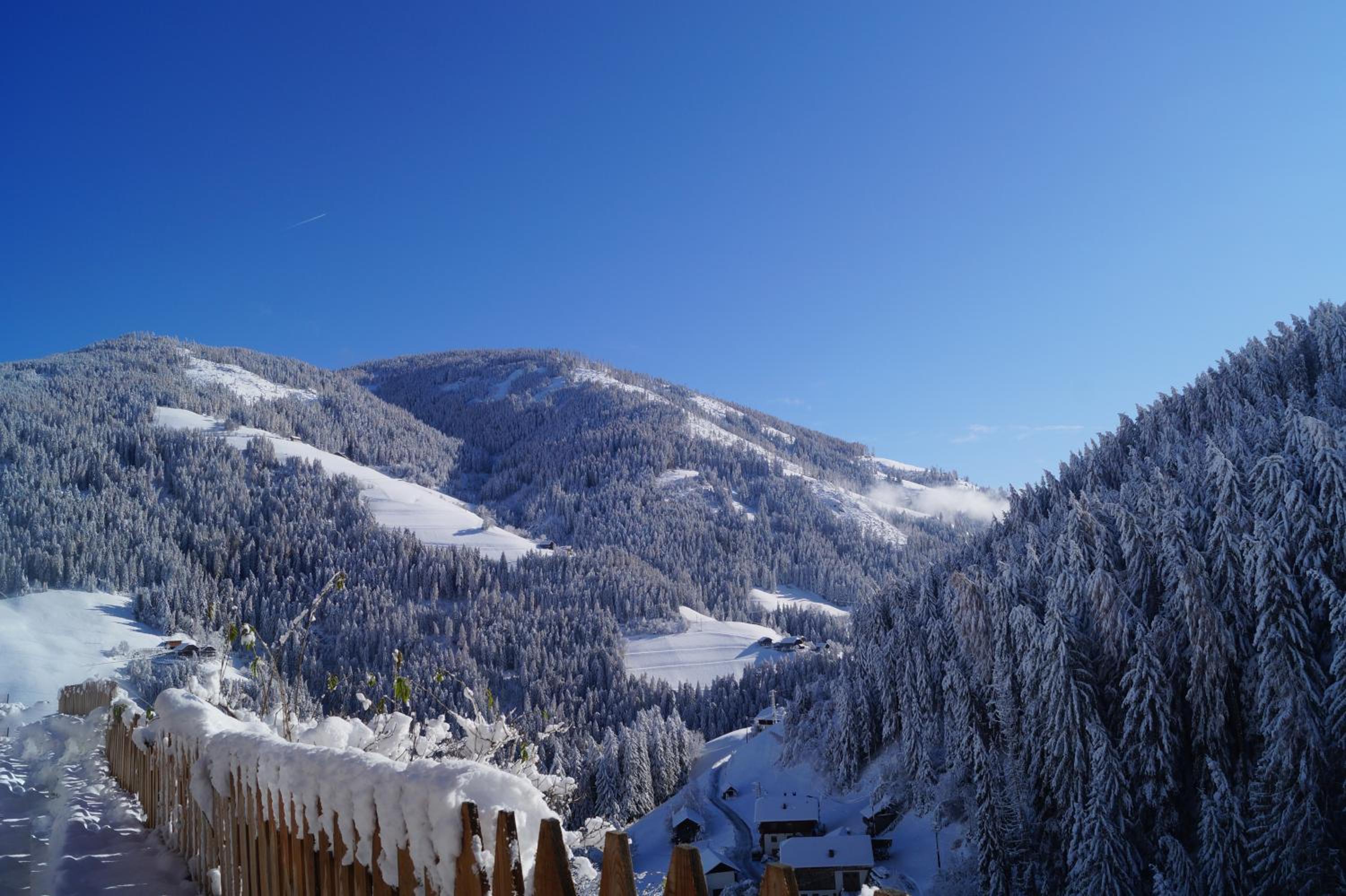 THALERHOF Onach Dolomites - Kronplatz view 4