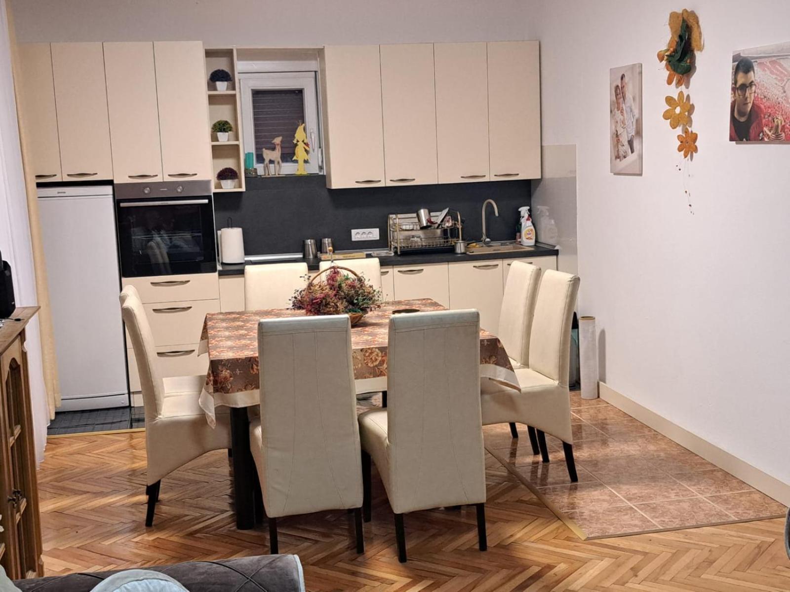 Dušanovac Panorama House - veliko dvoriste, 2 rostilja, pogled na Rasku