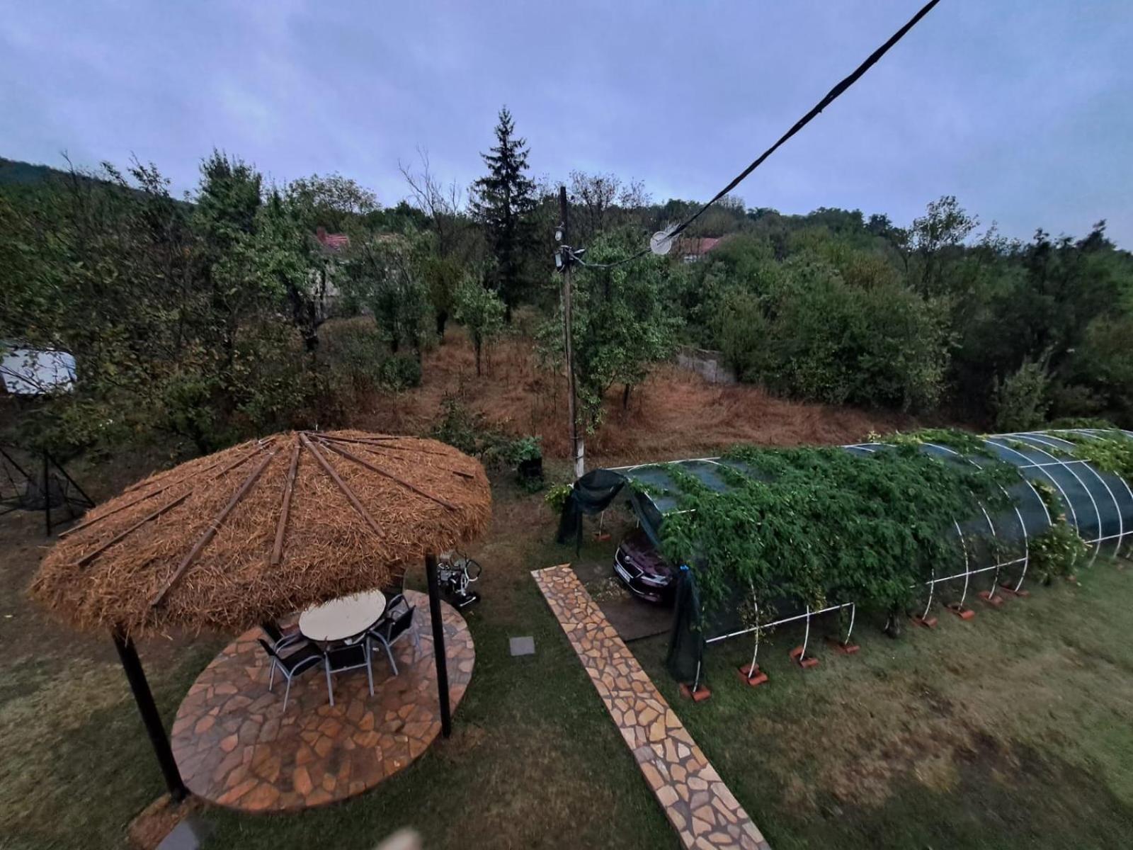 Dušanovac Panorama House - veliko dvoriste, 2 rostilja, pogled na Rasku
