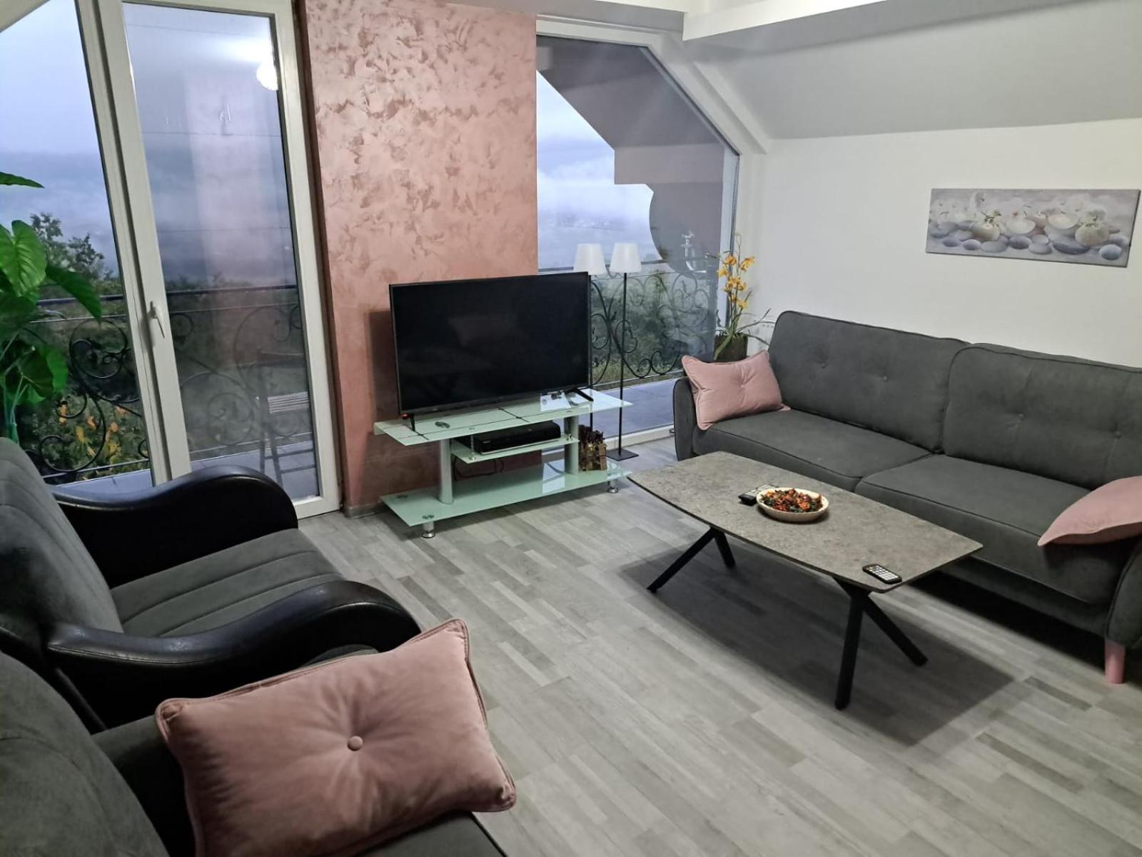 Dušanovac Panorama House - veliko dvoriste, 2 rostilja, pogled na Rasku