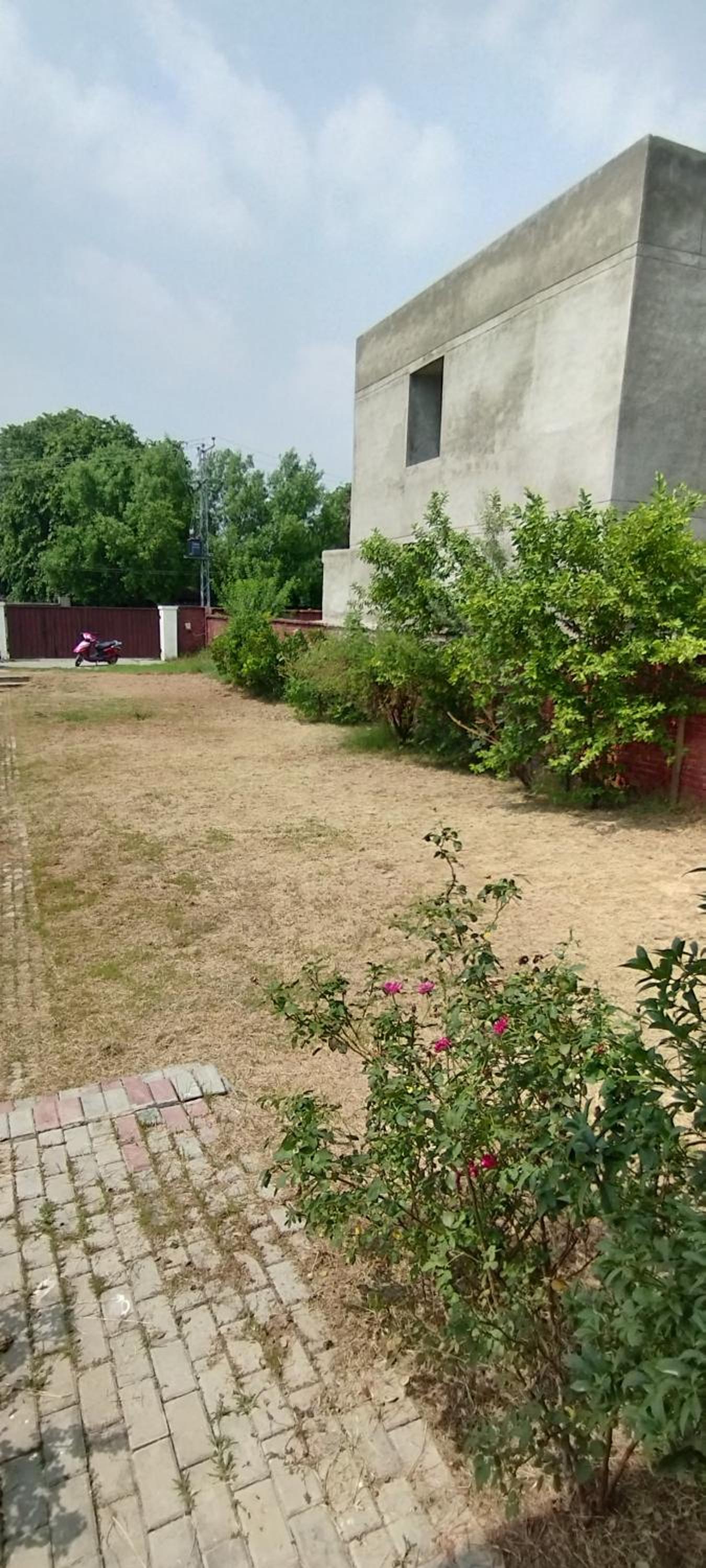 Peace farm