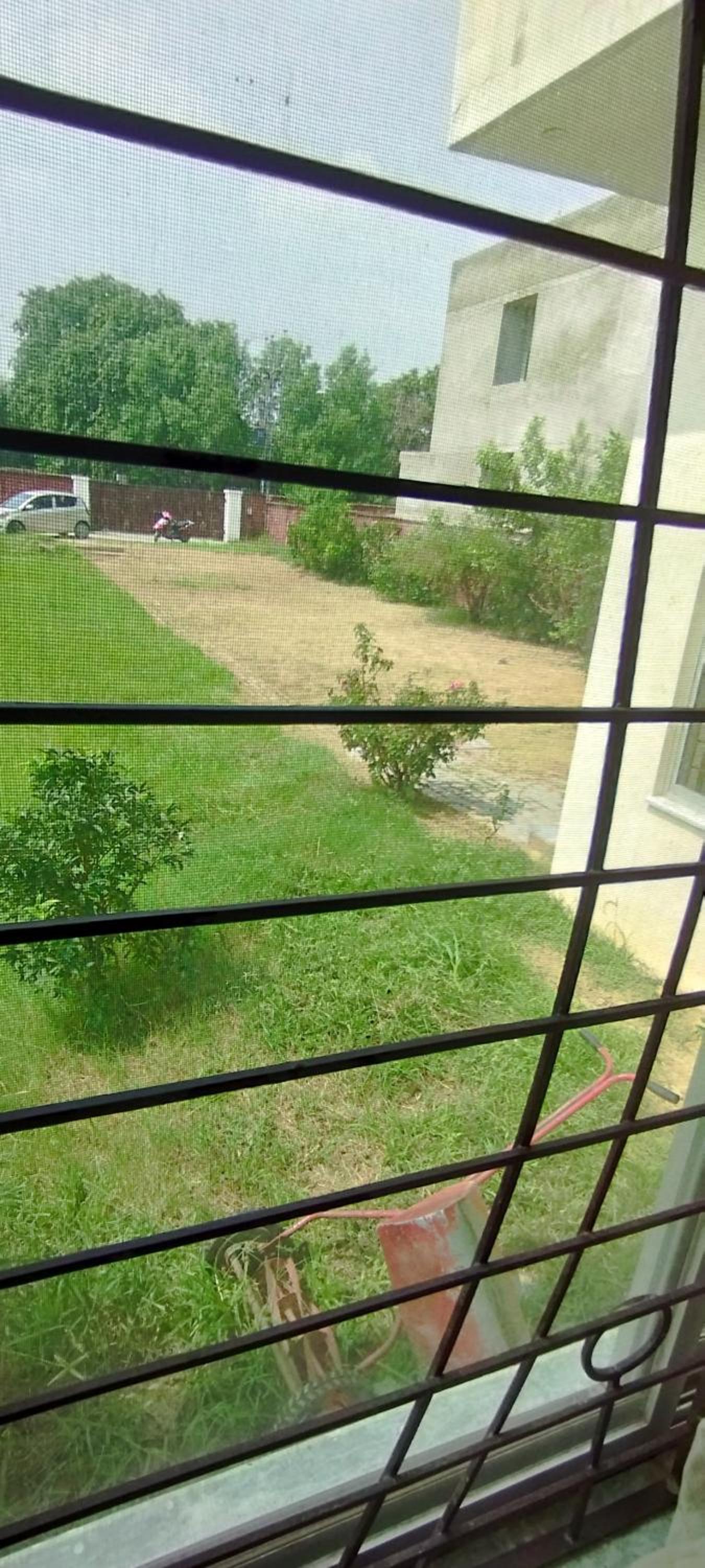 Peace farm