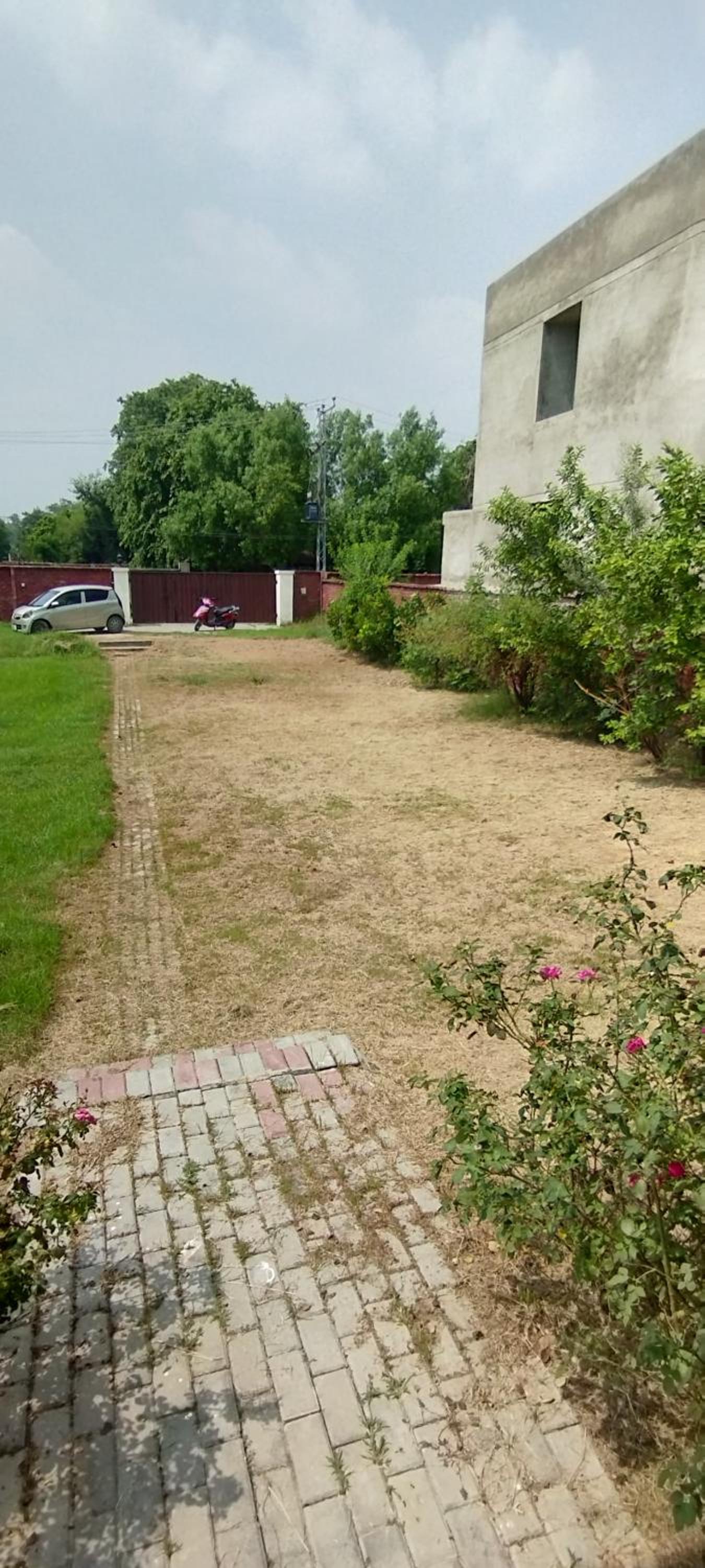 Peace farm