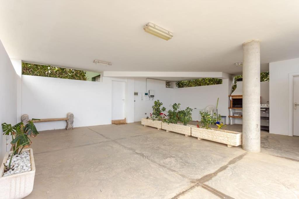 Green House