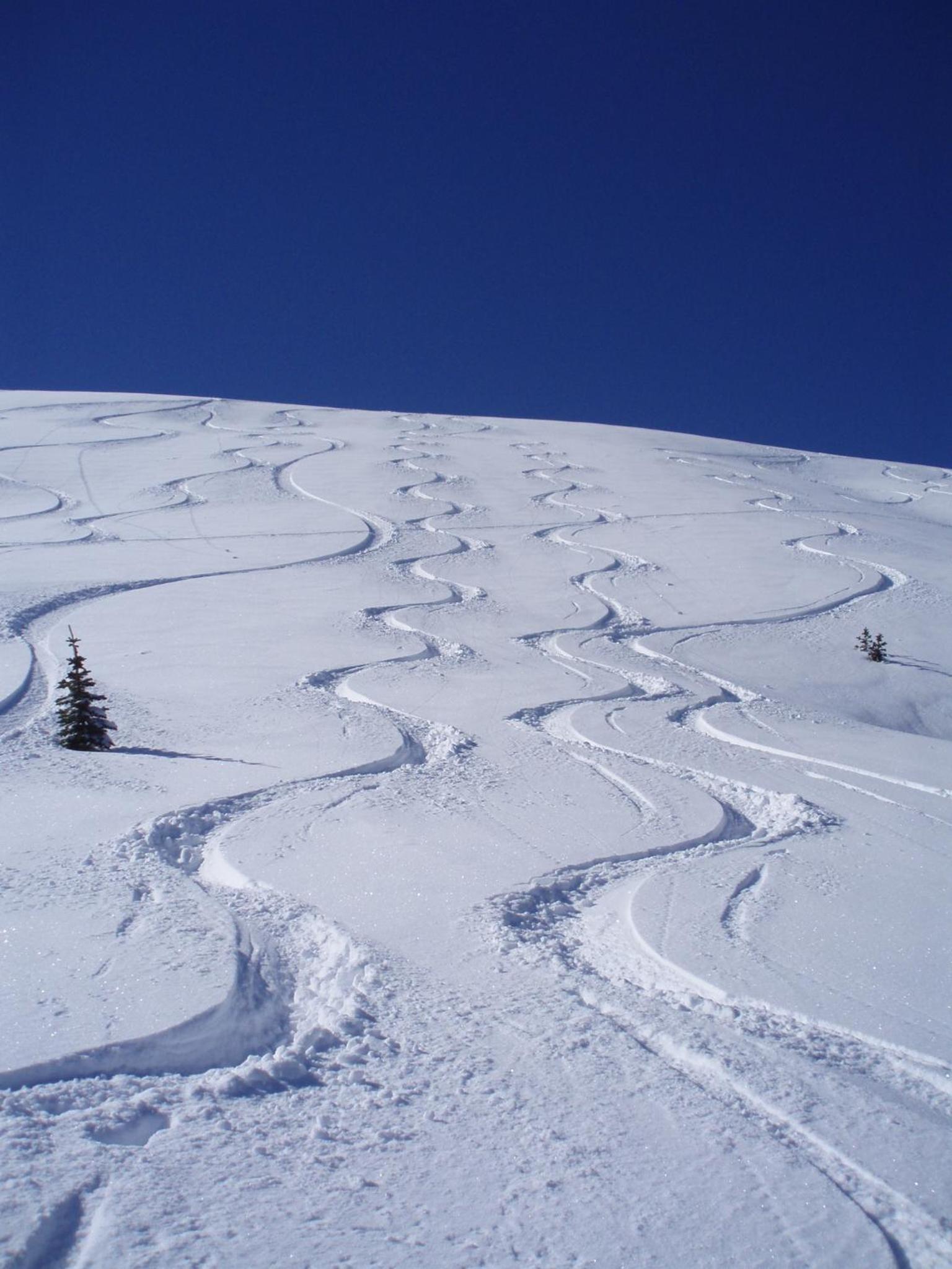 Belle Neige Whistler