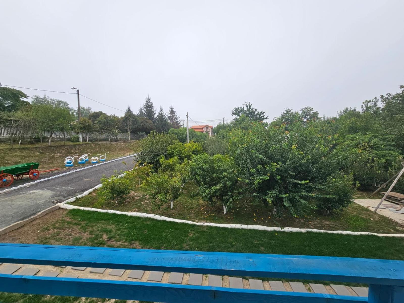 Photo 31