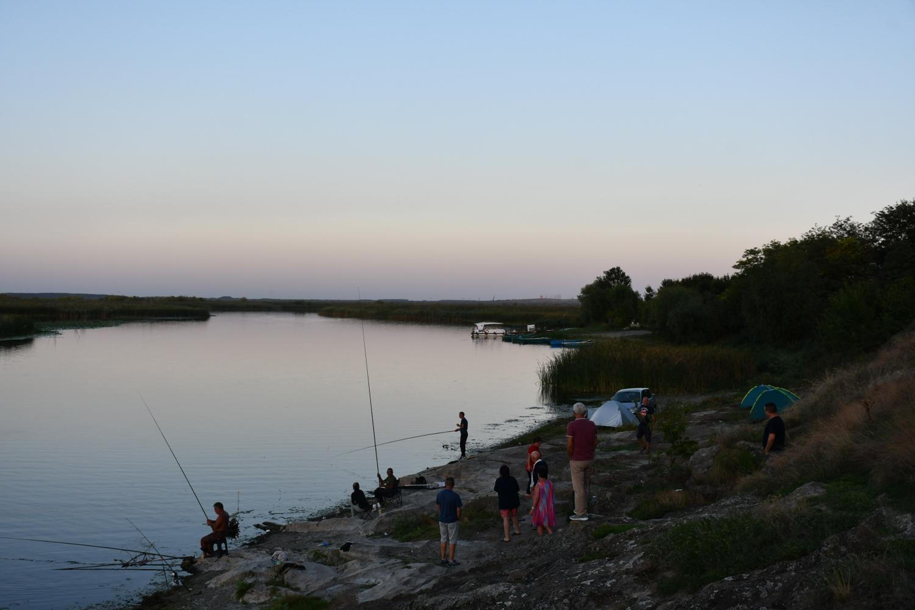 Photo 41