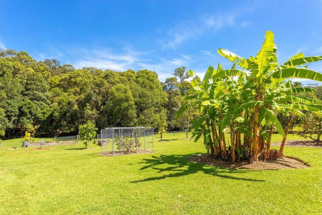 Nature Retreat Family Haven