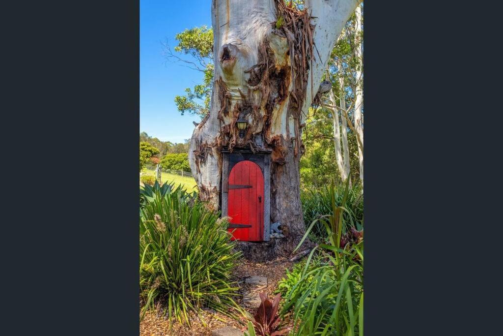Nature Retreat Family Haven