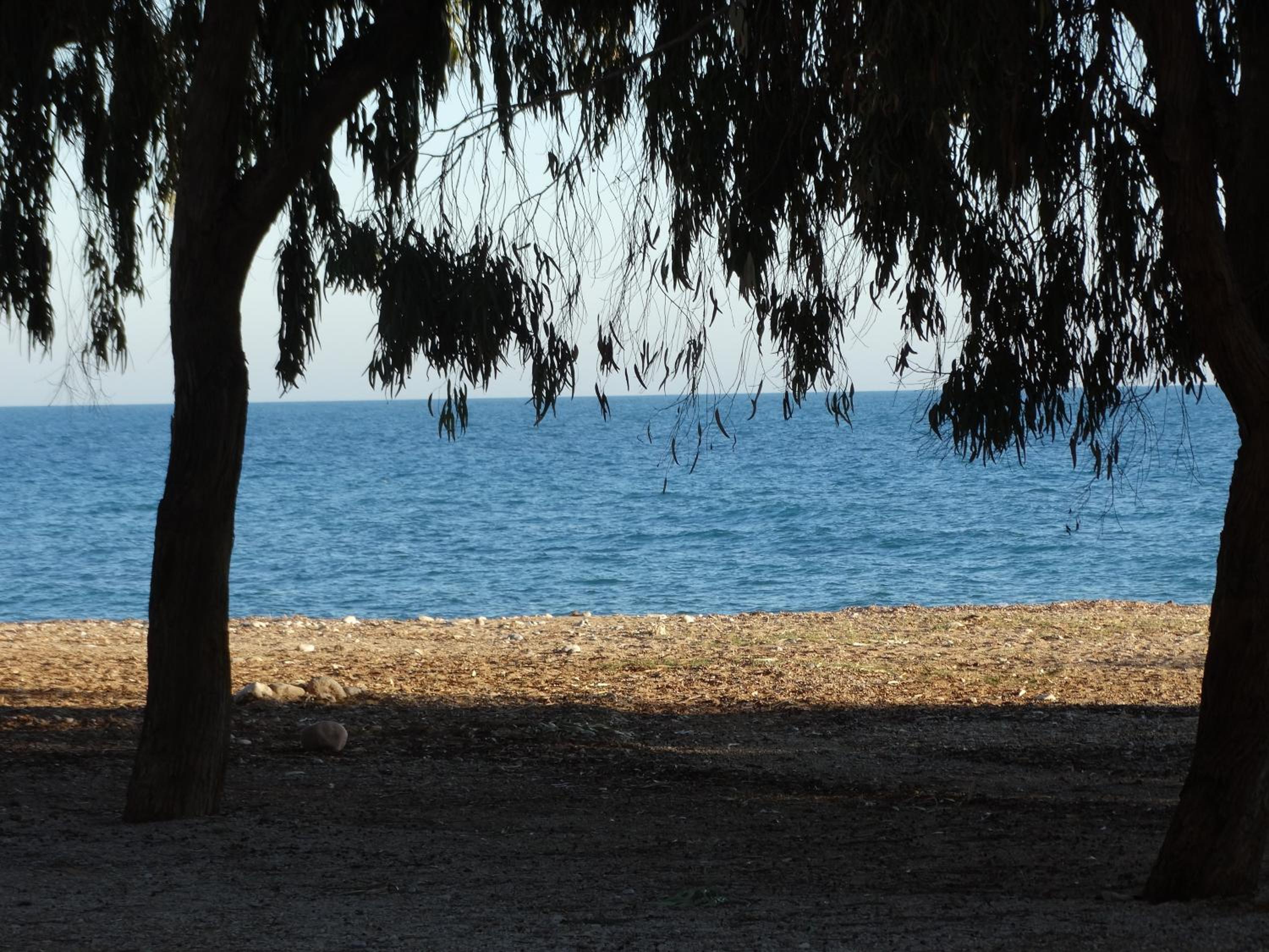 Photo 44