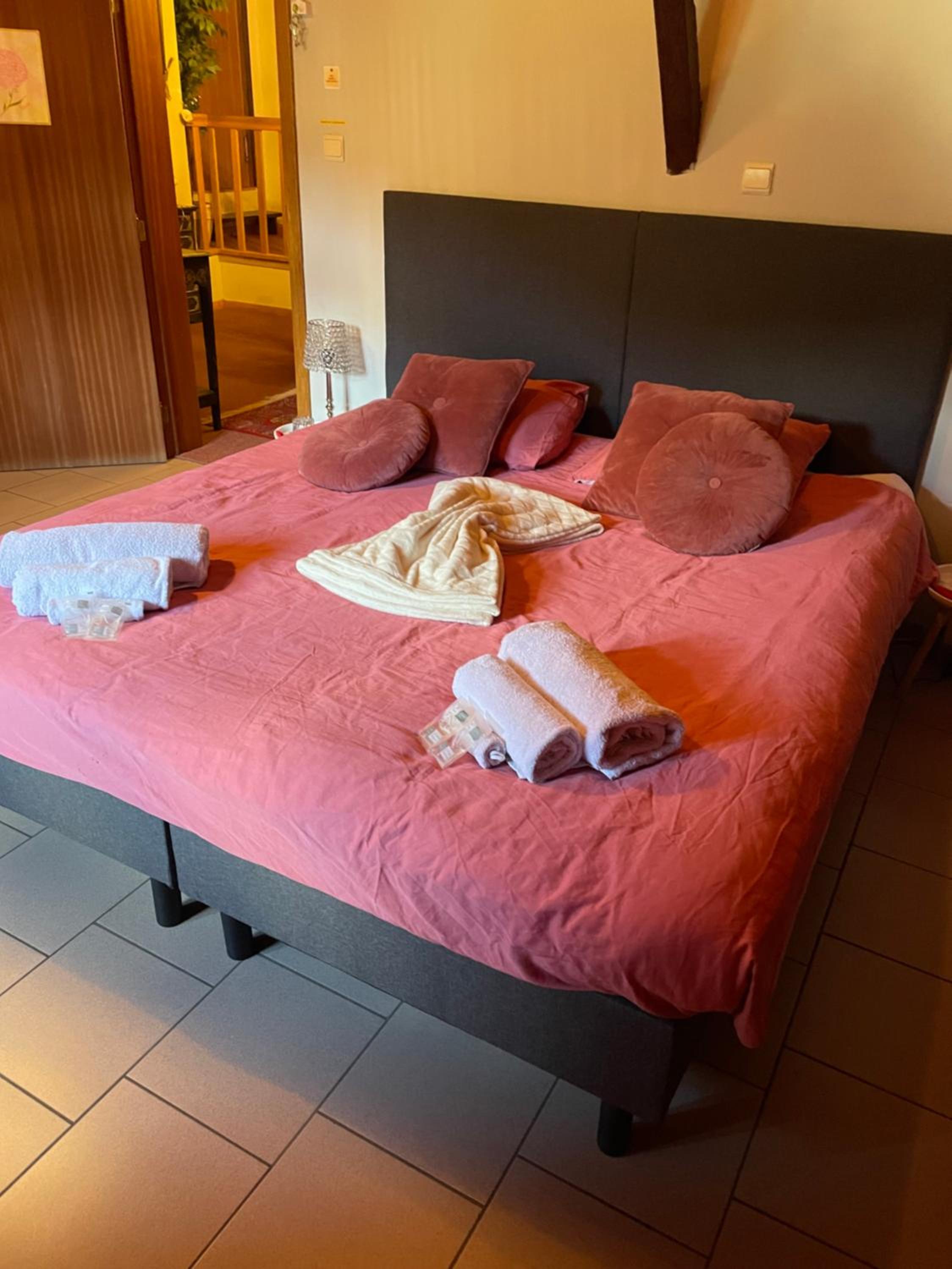B&B Forêt d'Animaux