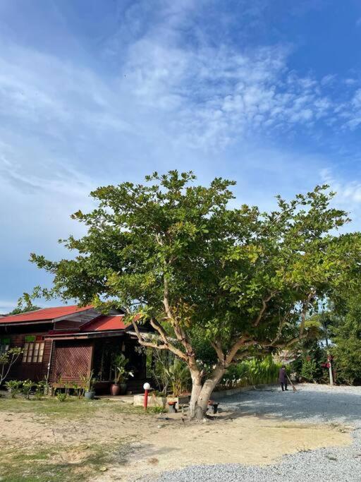 Kapas View, Zaki's Residence, Marang, Terengganu photo 1