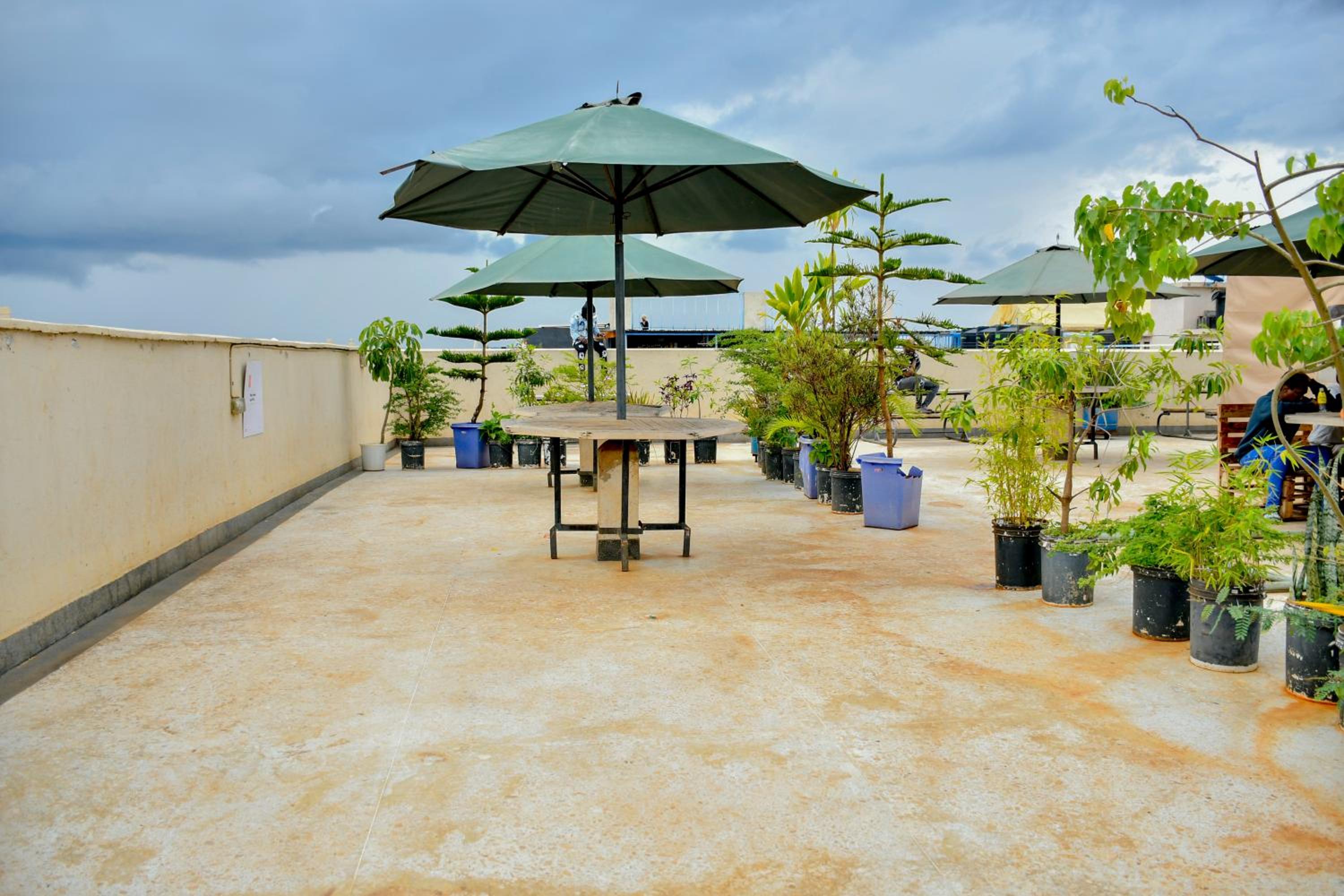 JoJovial Homes