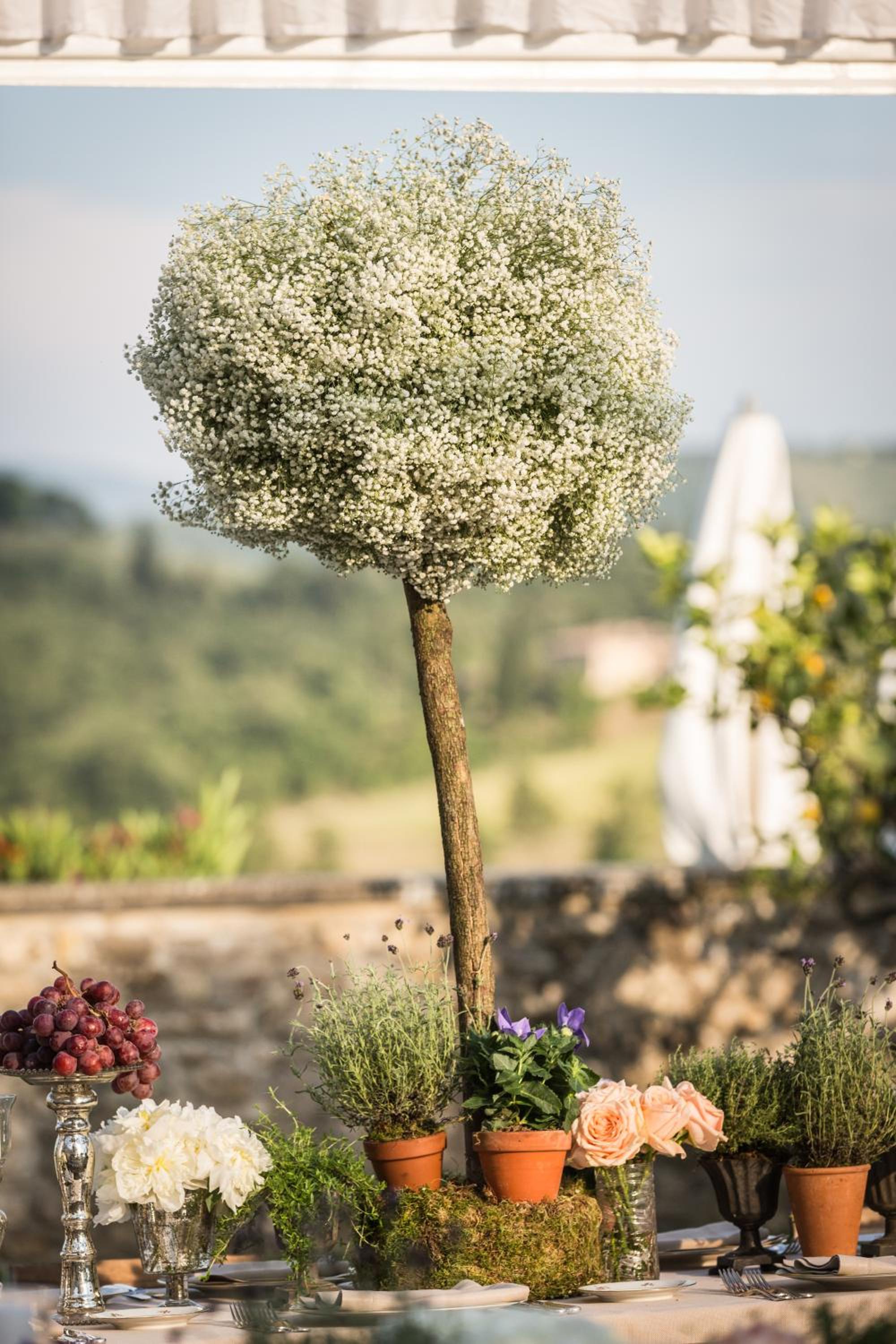 Castello Di Gabbiano