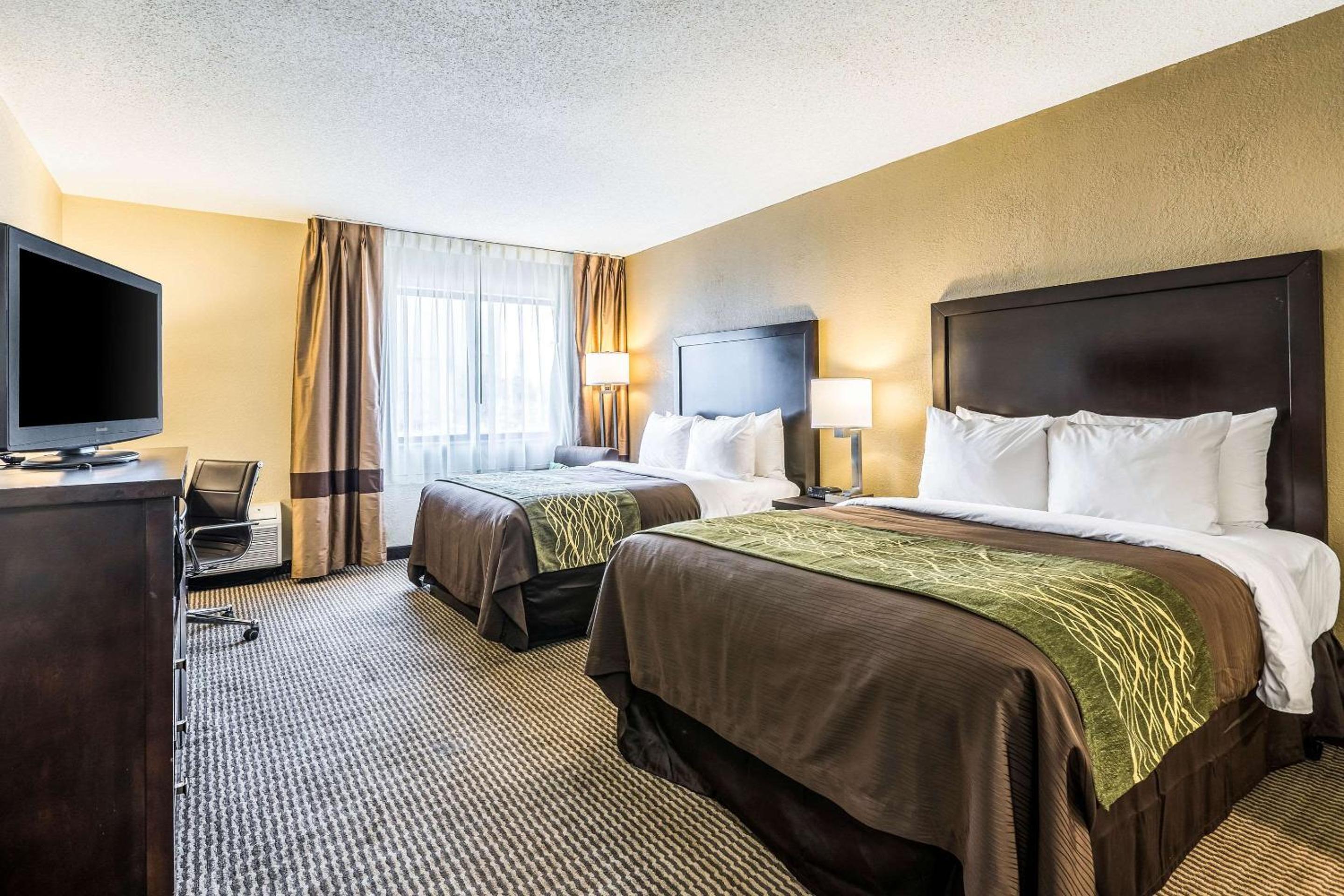 Comfort Inn Detroit Downtown