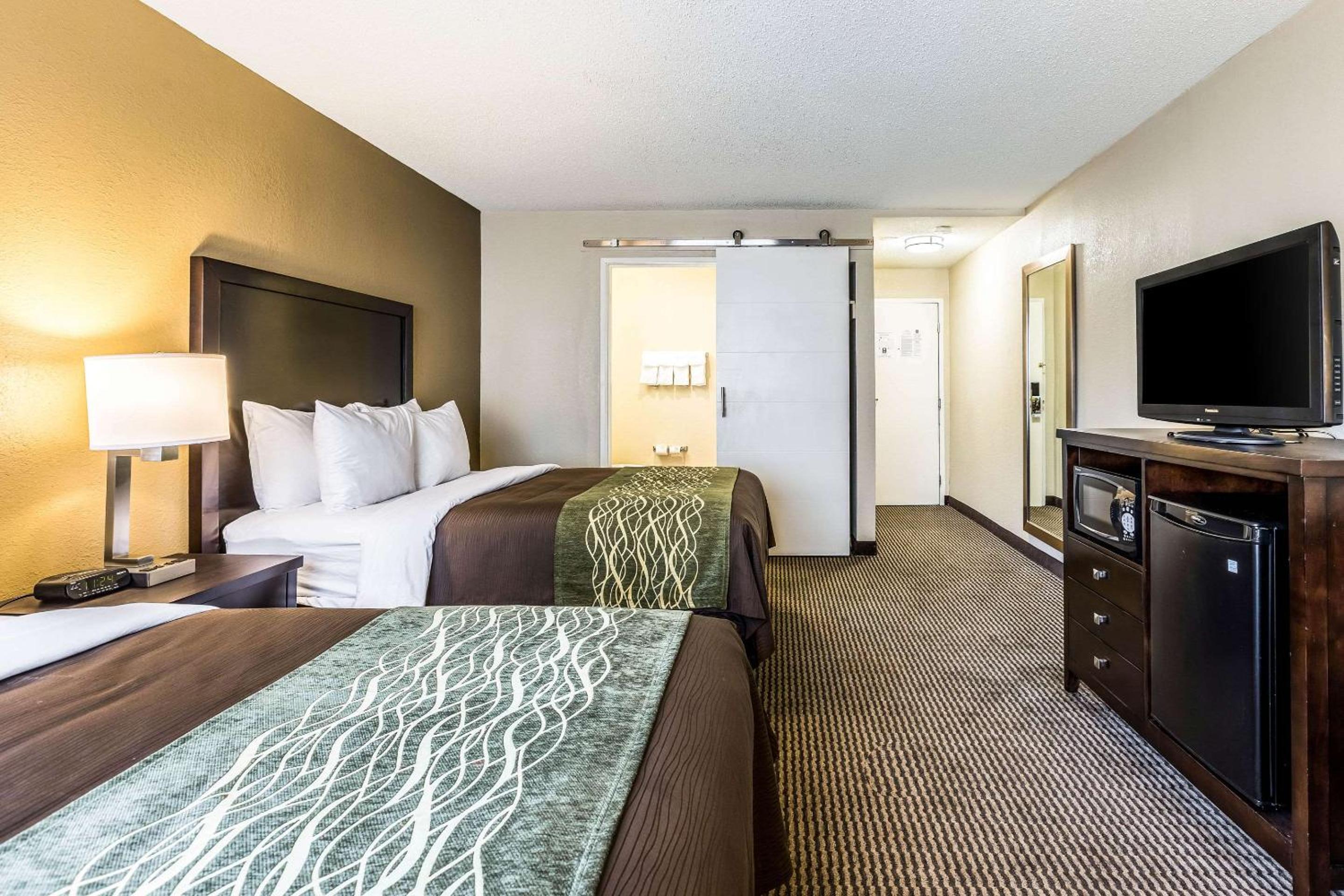 Comfort Inn Detroit Downtown