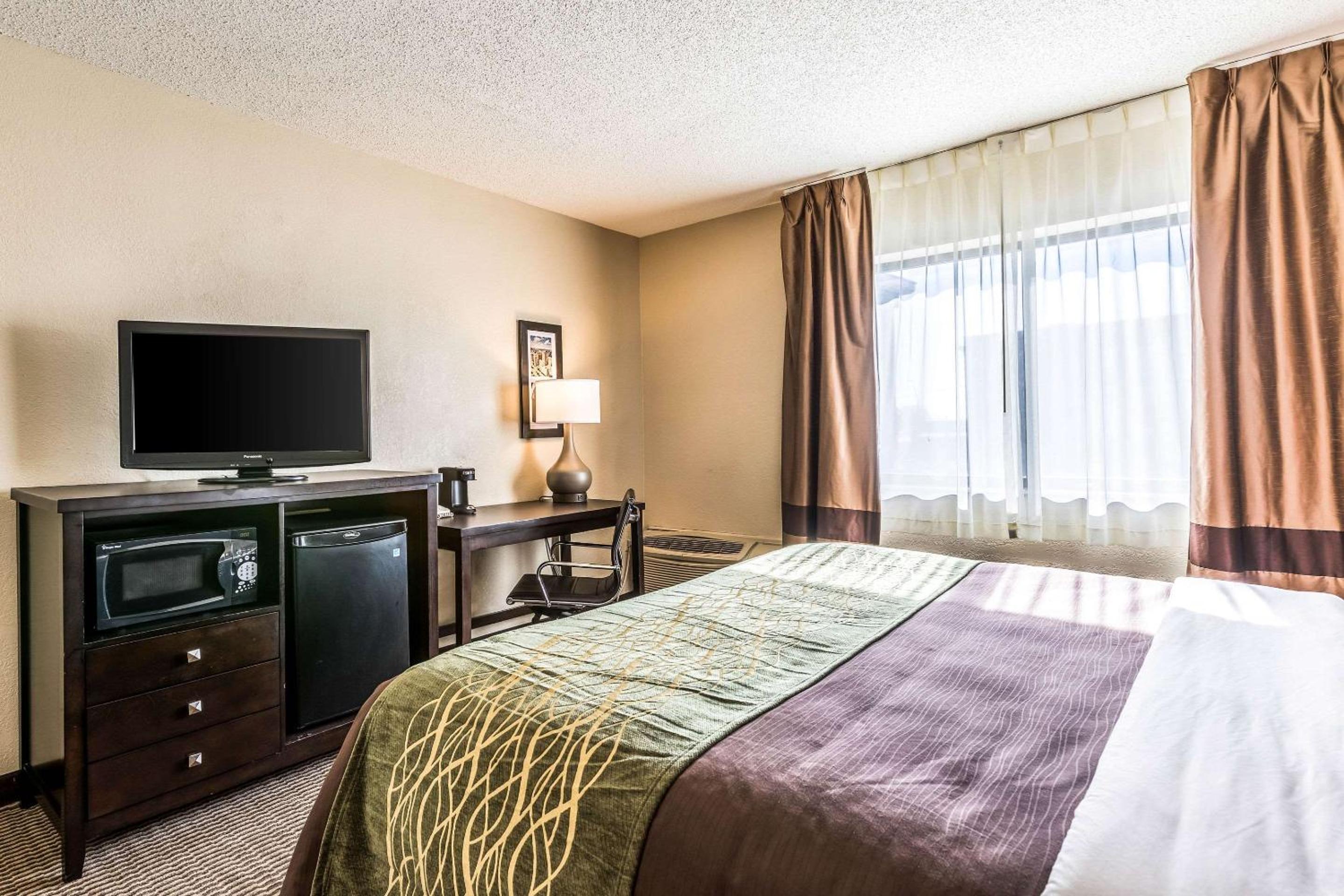Comfort Inn Detroit Downtown