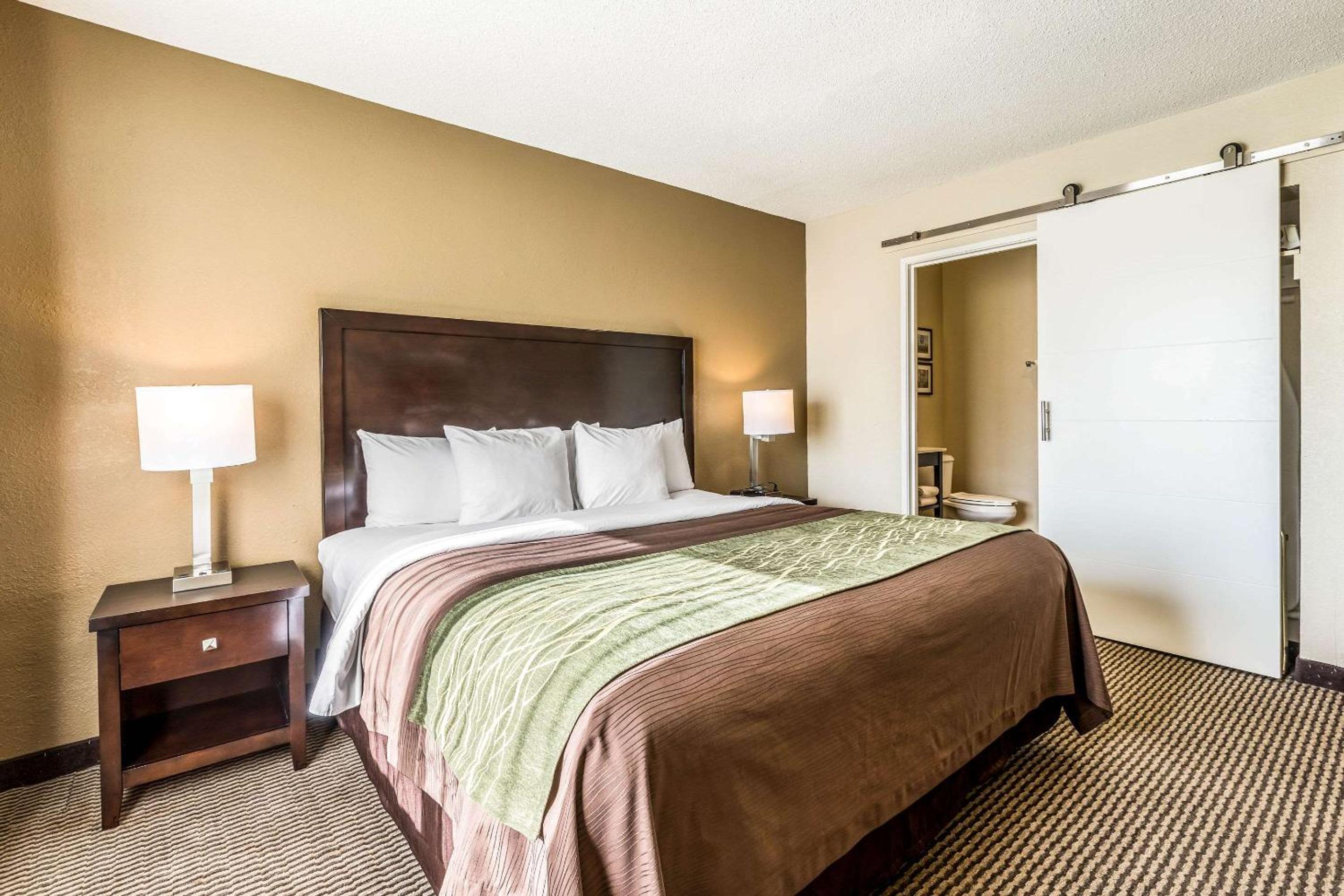 Comfort Inn Detroit Downtown