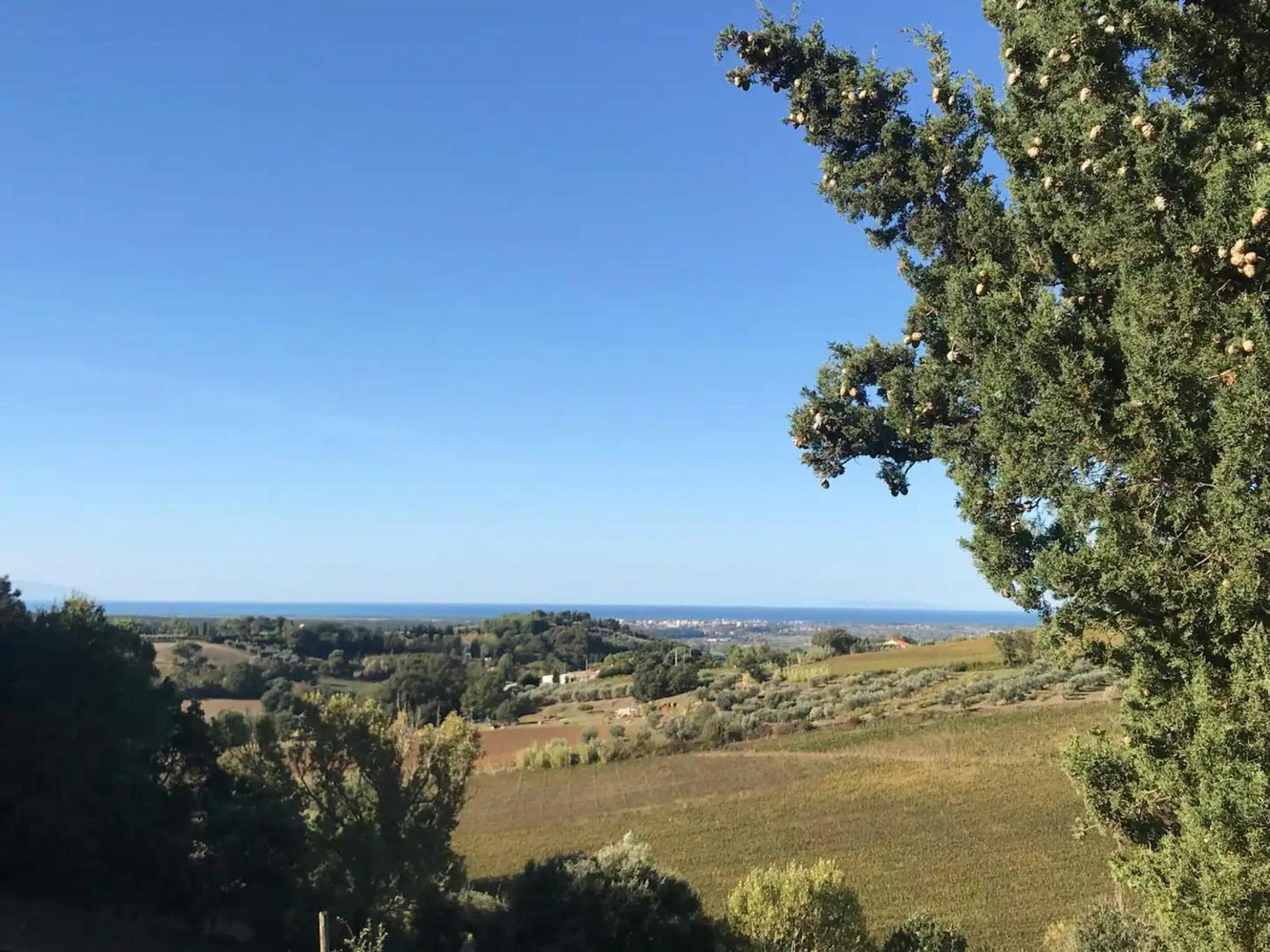 Podere Terraviva - apt Mimosa view 5