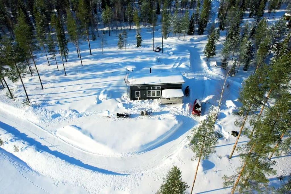 Santa's Reindeer Holiday Home