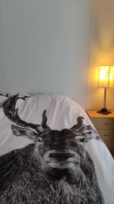 Santa's Reindeer Holiday Home