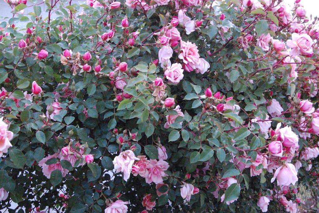 Photo 34