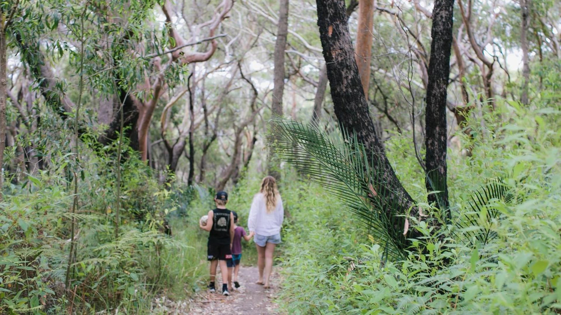 Pet Friendly and Easy Walk To Macmasters Beach