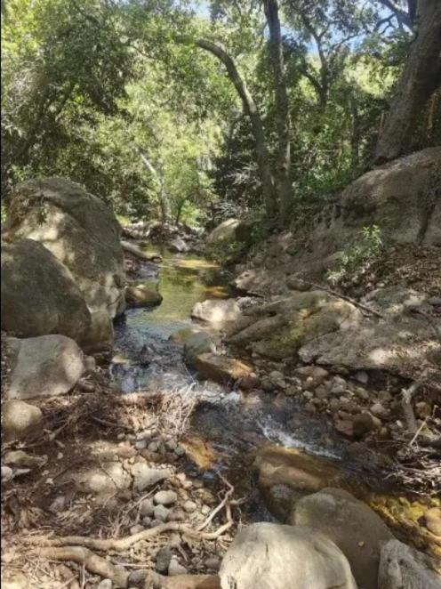 Quaint Cabin with private Trails & Creek view 5
