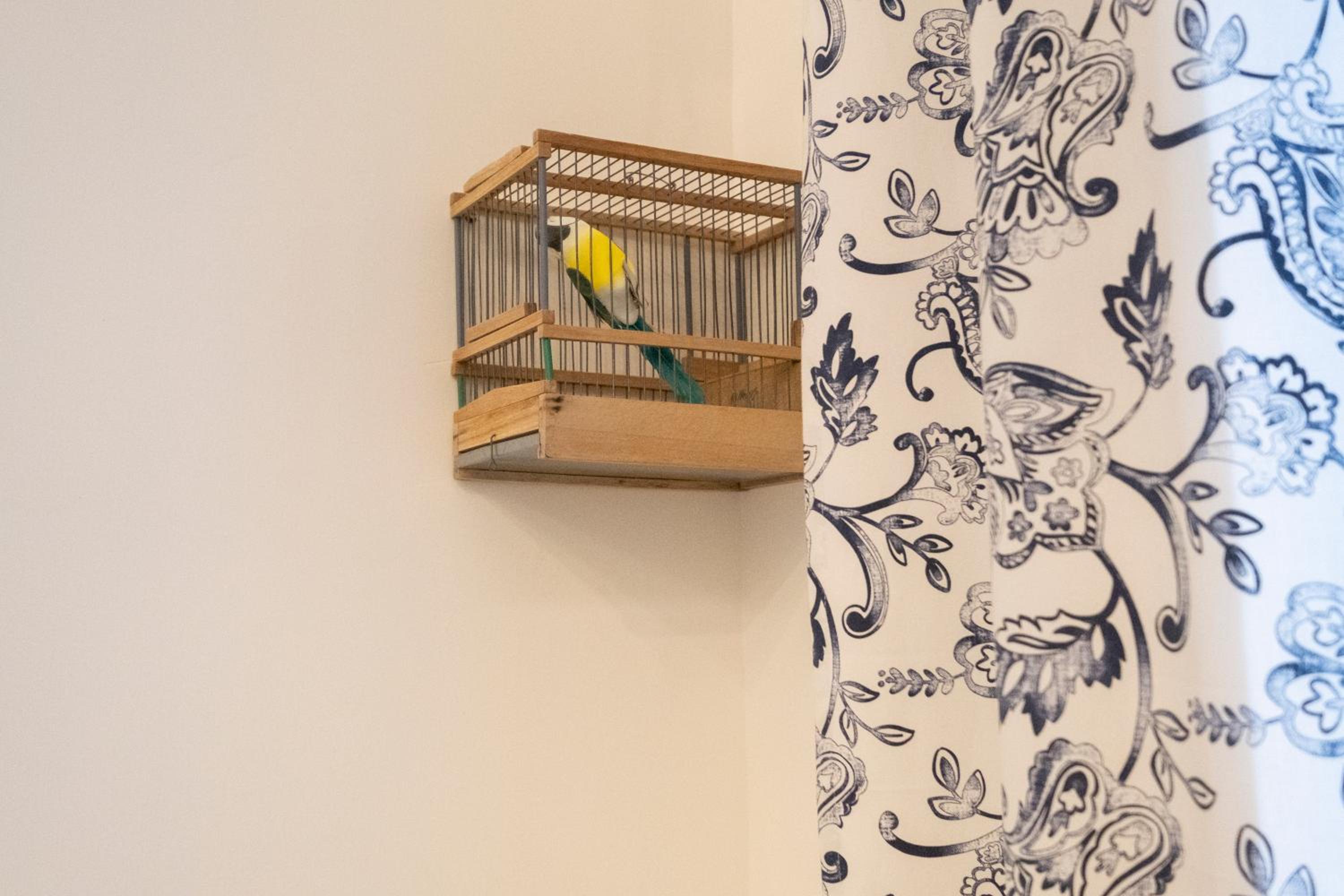 La casa di LùAle e Zoe