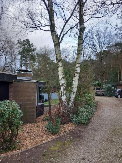 Vakantiehuis chaletje