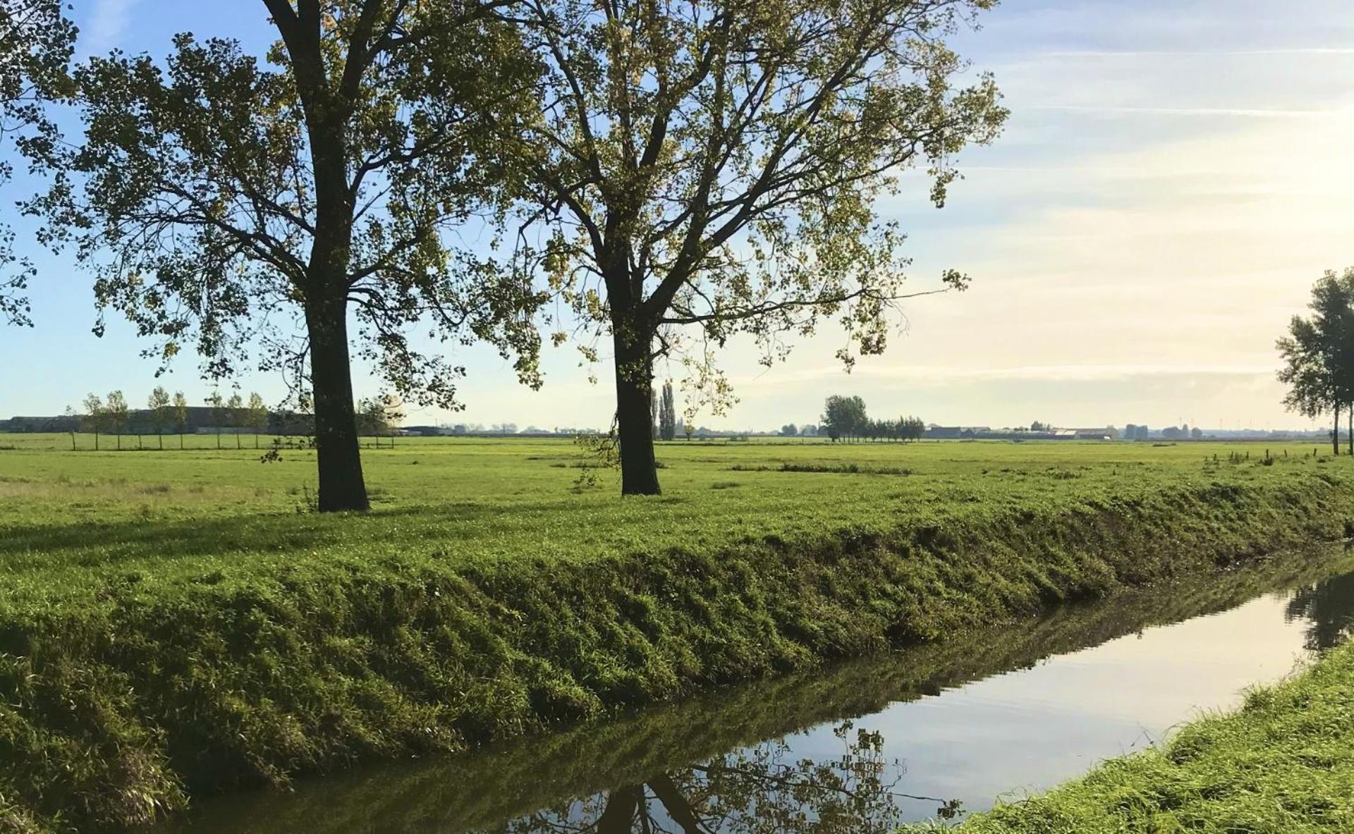 't Cappellelandhof